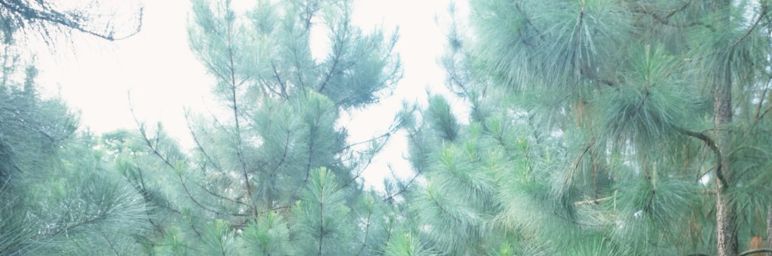 mlvg's banner