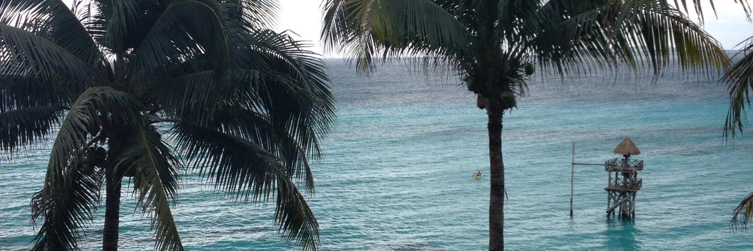 AlcarazElise's profile banner image