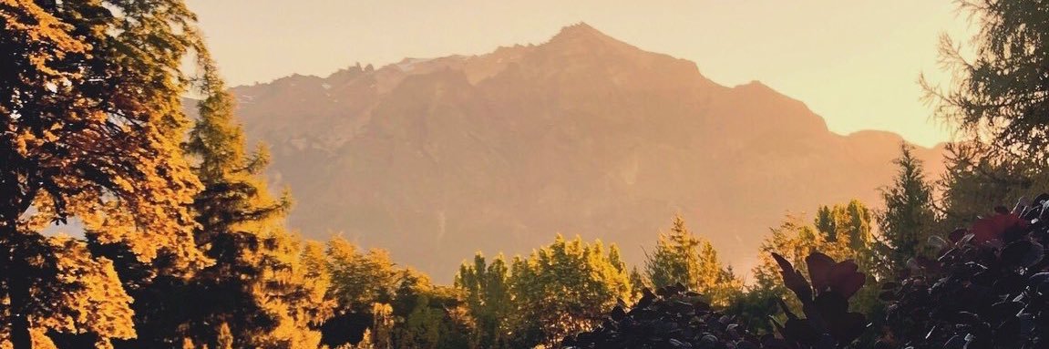 brenocanto's profile banner image