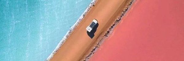 Miffy_Cipher Profile Banner