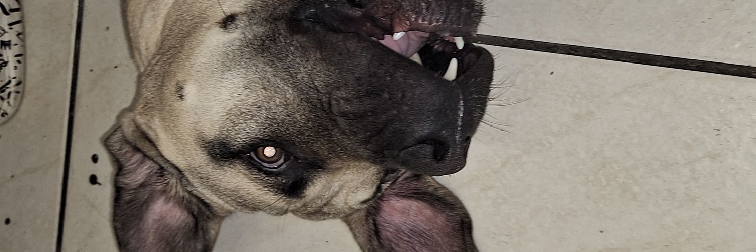 Stolenoky's profile banner image