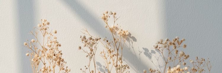 marialuish10's profile banner image