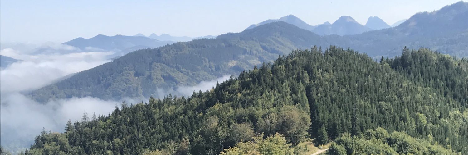 Sarah Stemmler banner