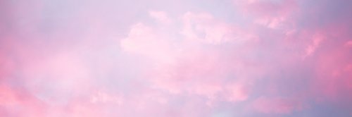 Caitlin Pellant banner