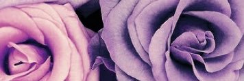 n_amsaa's profile banner image