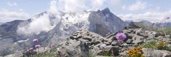 Alexdre_R Profile Banner