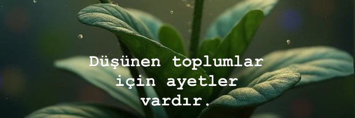Recep YILDIZ banner