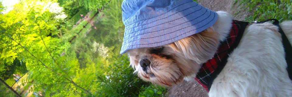 DaBaba92968514's profile banner image