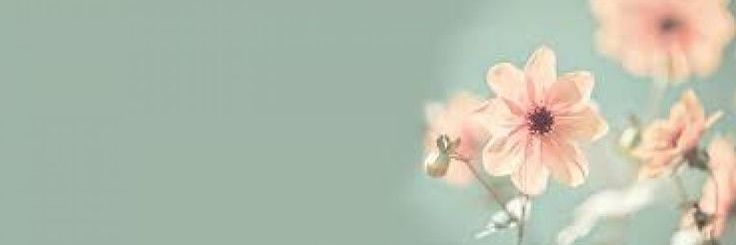 divulginsta's profile banner image