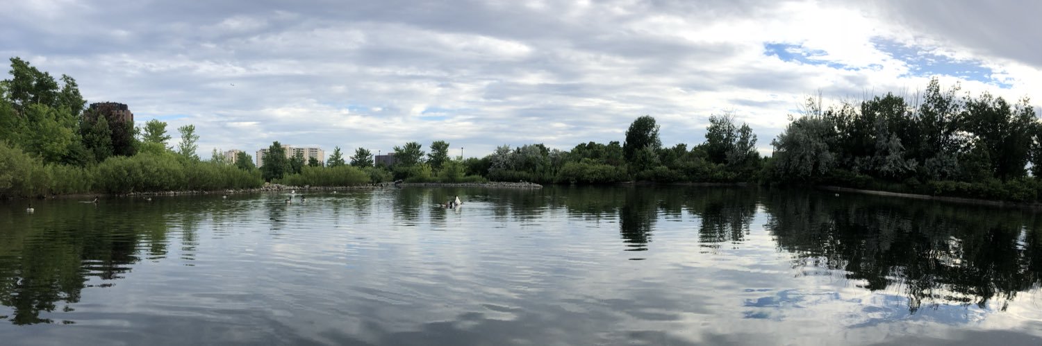 ShaneGuignard's profile banner image