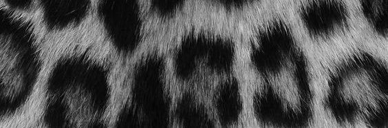 𝐂𝐨𝐭𝐢𝐑𝐚𝐝𝐢𝐨♡ banner