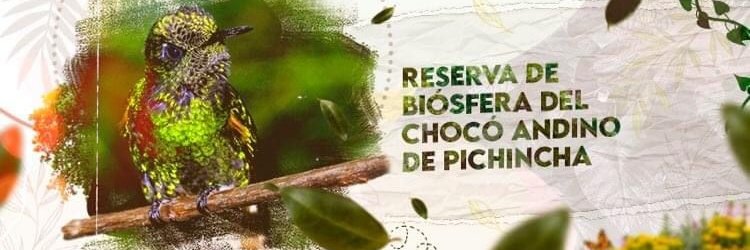 Reserva de Biósfera Chocó Andino Pichincha banner