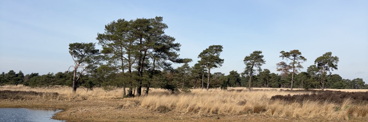 Gerd van Nijnatten banner