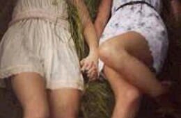 °˚✽ dιņńιē ✽˚° banner