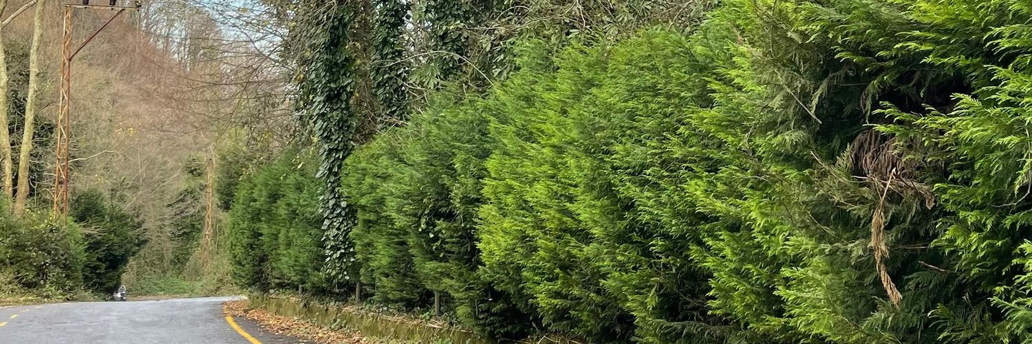 vaytbas's profile banner image