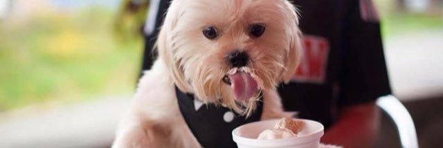 yummiesicecream's profile banner image