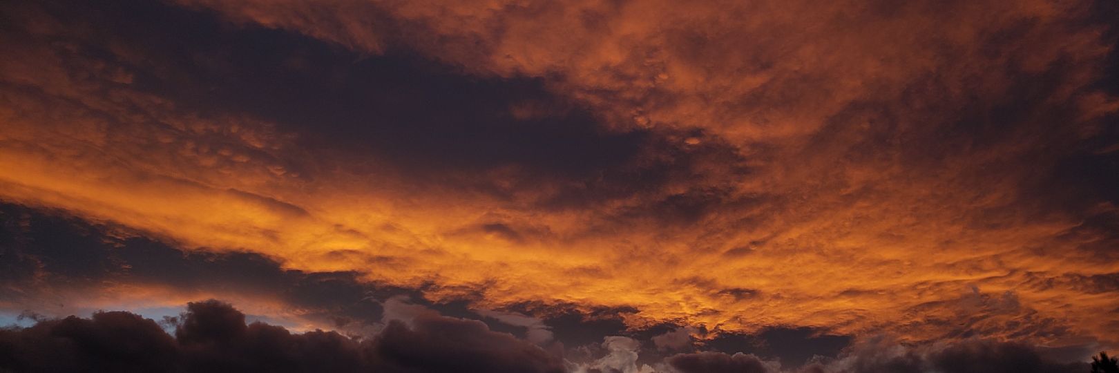 erikaaaaa_31's profile banner image