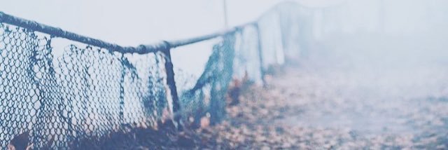 mroosh31's profile banner image