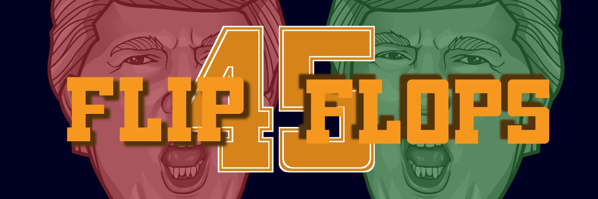 45 Flip-Flops banner