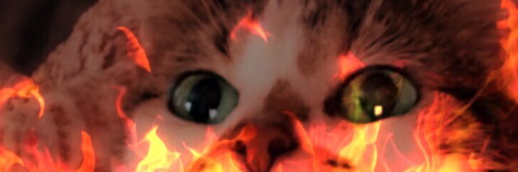 Ltllilly98's profile banner image