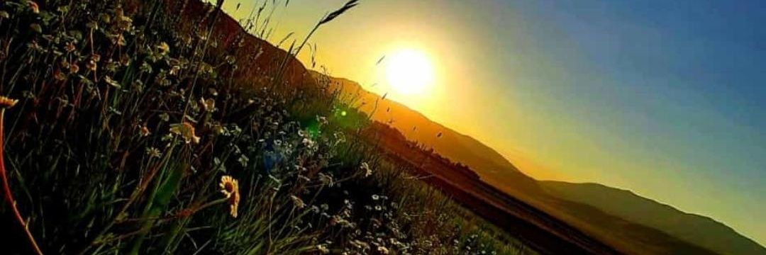 CihanElcii's profile banner image