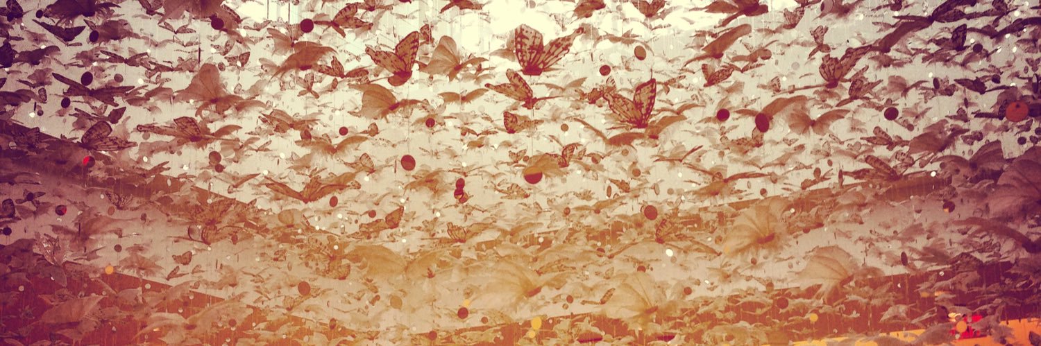 Chela Chocron banner