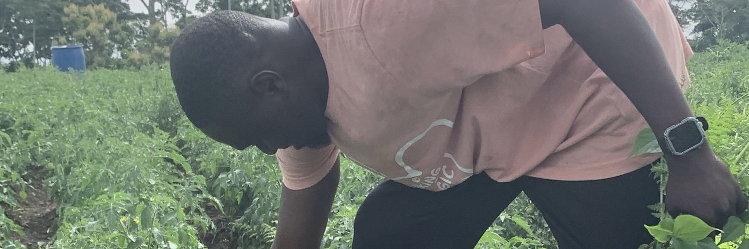 Mr. Kogbe 🇬🇭 banner