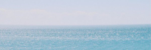 dagyeoom Profile Banner