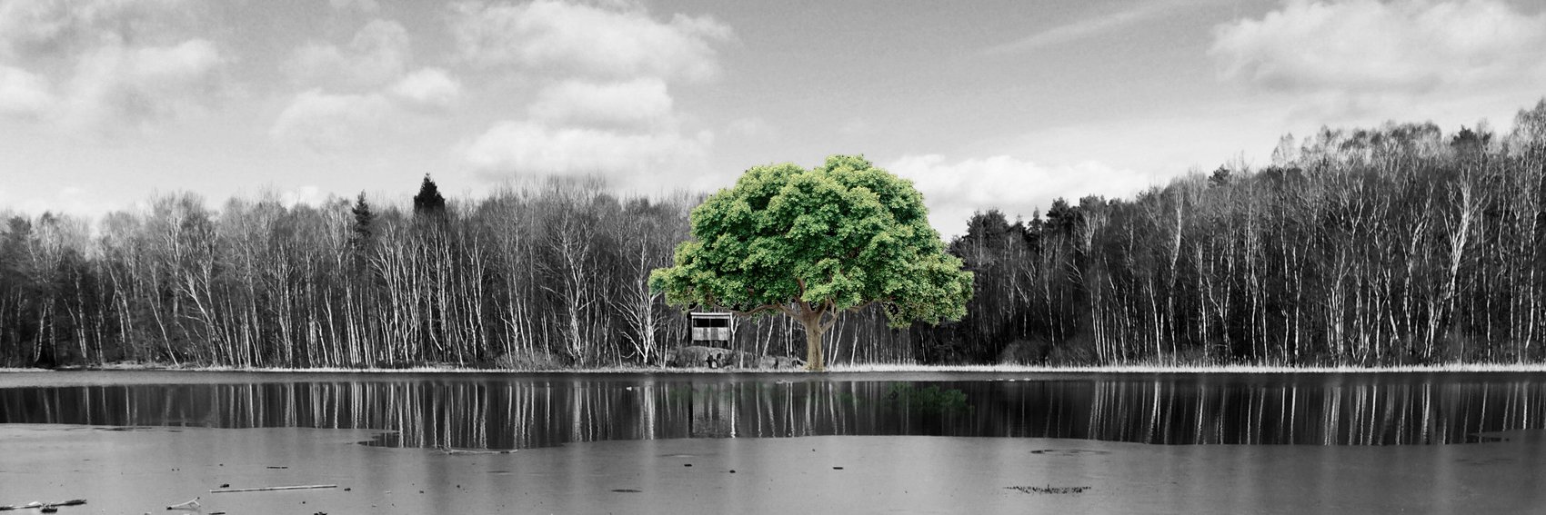 erikradbo's profile banner image