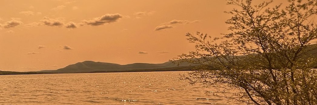 angie 𓆝 (:3 っ)∋ banner