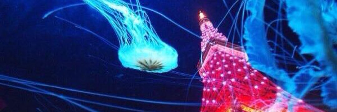 moke_t's profile banner image