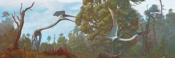 ddubbelde4 Profile Banner