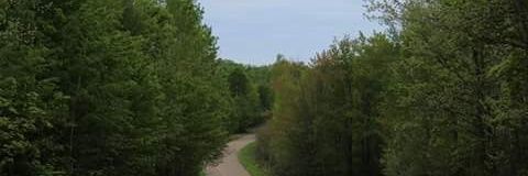 KwickCarley's profile banner image