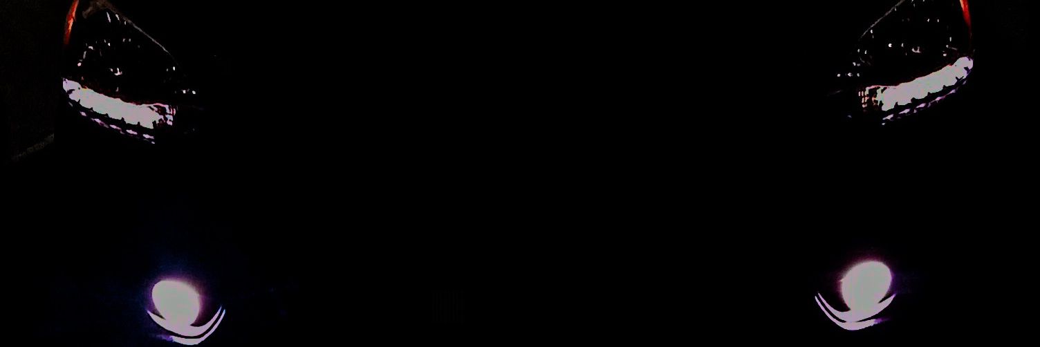Guilherme banner