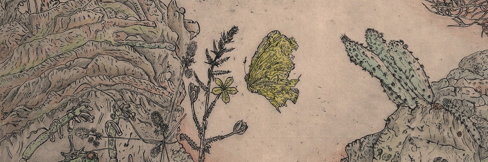 LambingSeason's profile banner image