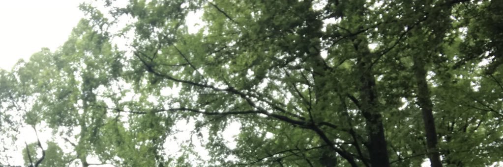 シャオリエル banner