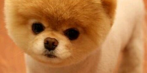 _karimezinha's profile banner image