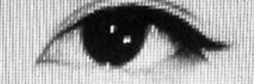 nefeliona's profile banner image