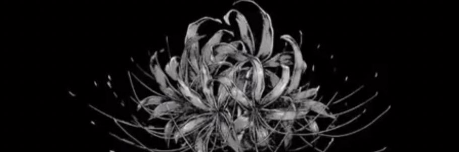 jonjon434's profile banner image