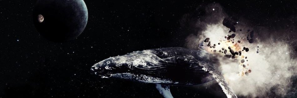 Cryptom89102508's profile banner image
