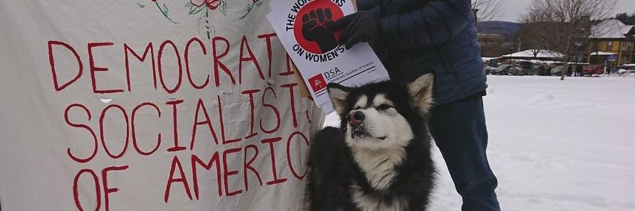 Central Vermont DSA banner