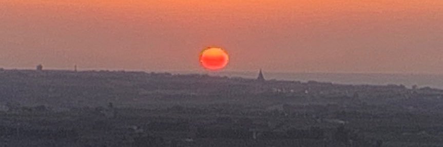 Florence Biedermann banner