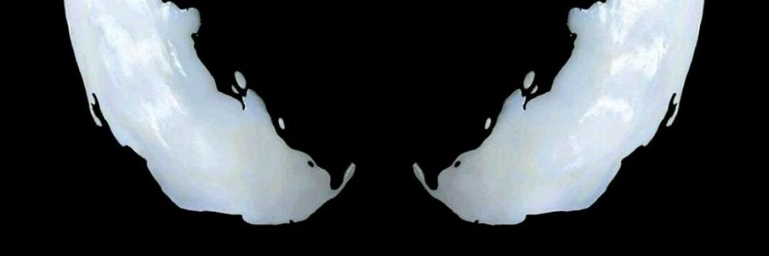 ElHenryChan's profile banner image