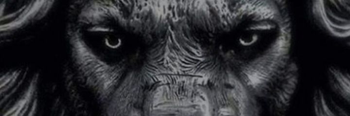 bobygonzo2133's profile banner image