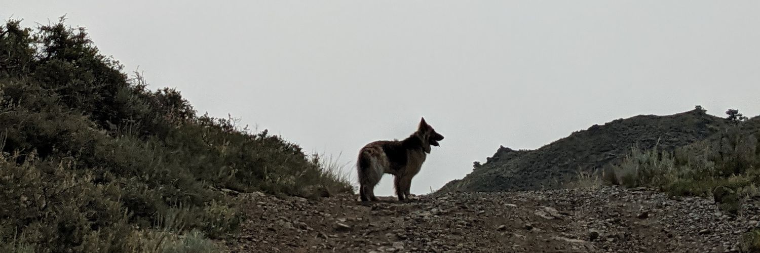 Wheaterville's profile banner image