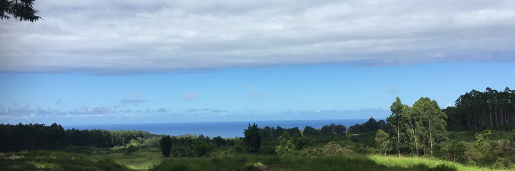 McLaird44's profile banner image