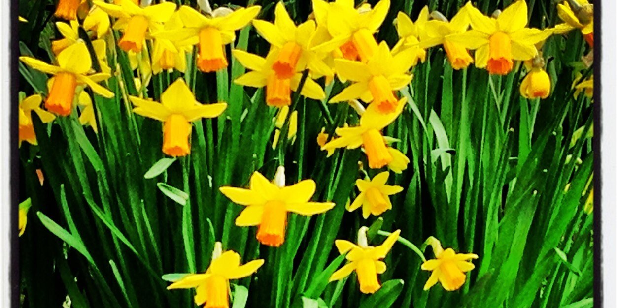 sallywhittle's profile banner image