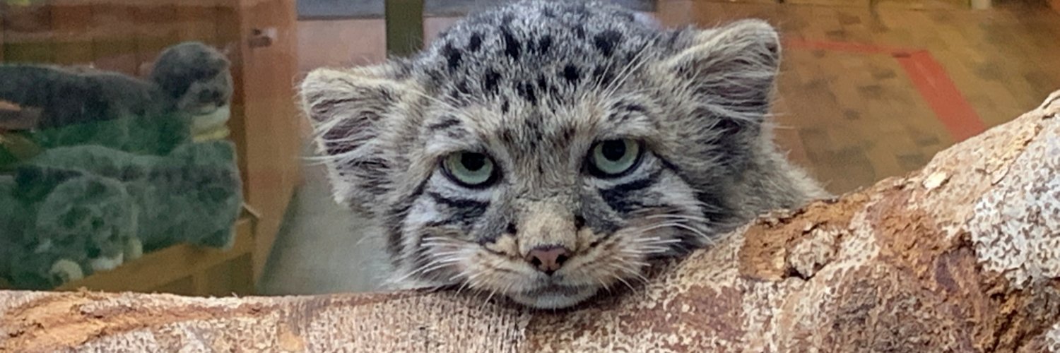 匣河豚工房@#FullyVaccinated（P7M2） banner