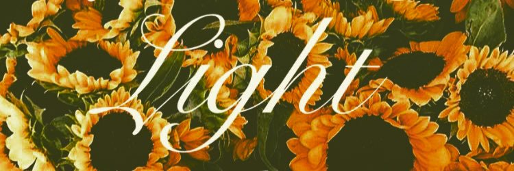 LD_flwrz's profile banner image