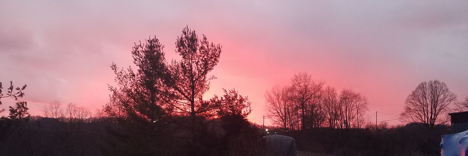 AdamRYoung41's profile banner image
